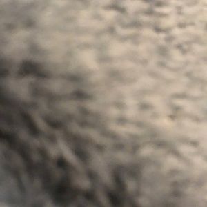 Meet your Posher, Denae